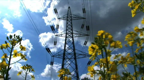 Two types of power Stock Footage 374509