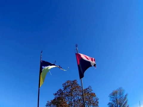 Two Ukrainian flags, blue yellow and red black Stock Footage 96514907