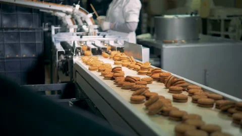 Two uneven rows of biscuits are moving along the conveyor belt in a factory Stock Footage 86951153