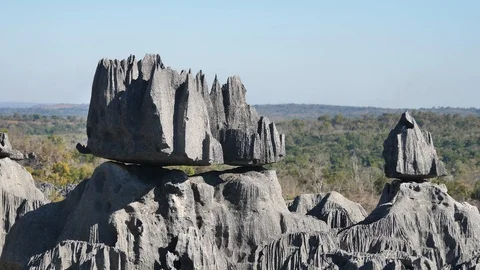 Two Unique Limestone Formations with Forest Background, Tsingy, Madagascar Stock Footage 117507737