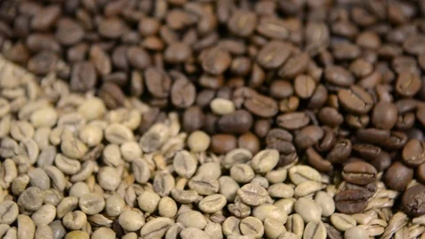 Two varieties of coffee. Green and black, roasted and not fried.  Rotation Stock Footage 124342926