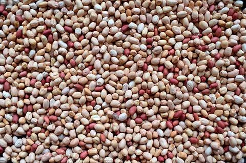 Two varieties of peanuts in a flat bowl. Fotos de archivo