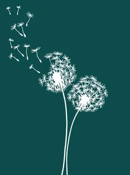 Two vector dandelions on green Stock Illustration