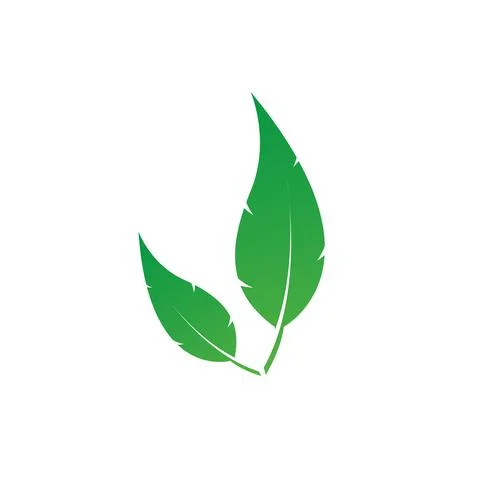 Two vector green leaves design on white background, Nice leaves logo isolate Stock Illustration