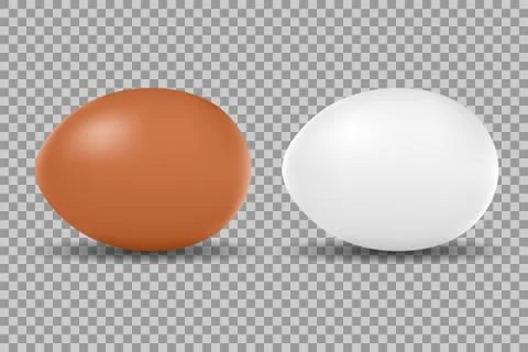 Two vector realistic chicken white and brown eggs. Isolated eggs for easter on Illustrazione stock