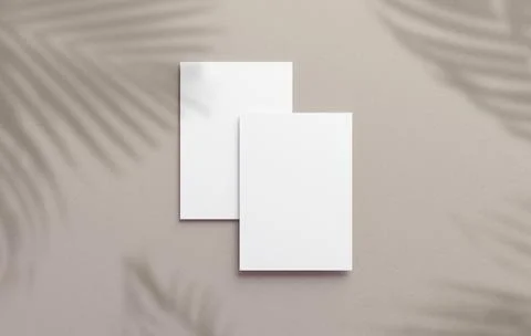 Two vertical postcard mockup blank paper template with overlay palm shadow on Stock Photos