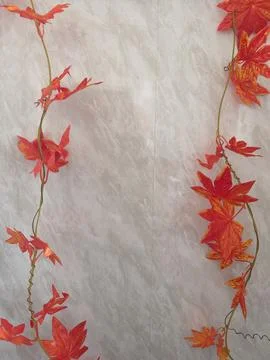 Two vertical strands of artificial, vivid red and orange maple leaves 写真素材