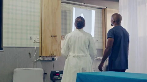 Two veterinarians looking at something Stock Footage 279156756