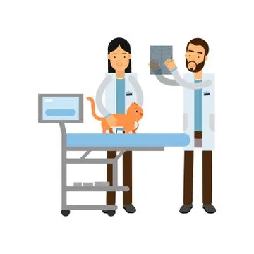 Two veterinary doctors examining red cat in vet clinic colorful cartoon vector Illustrazione stock