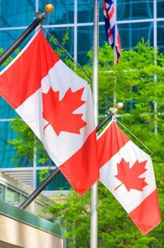 Two vibrant Canadian flags flutter proudly in the wind Stock Photos