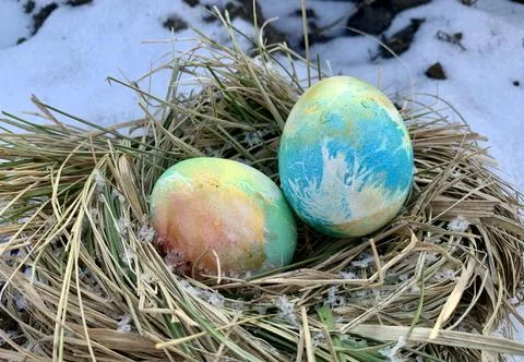 Two vibrant, hand-painted eggs are nestled in a natural straw nest surrounded by Foto stock