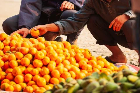 Two Vietnamese selects oranges on the roadside. Stock Photos