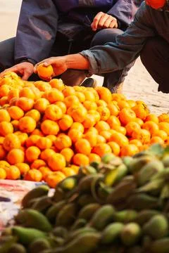 Two Vietnamese selects oranges on the roadside. Stock Photos