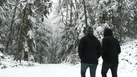 Two Walking Down A Winter Wonderland Forest Path Stock Footage 149792717