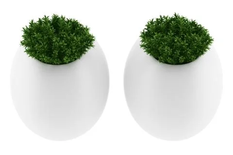 Two wall plants in pots isolated on white background Stock Illustration