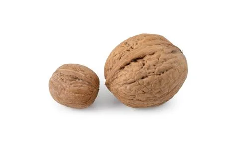 Two walnuts Stock Photos