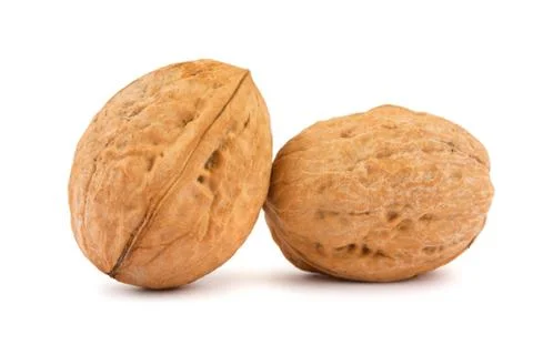 Two walnuts Stock Photos