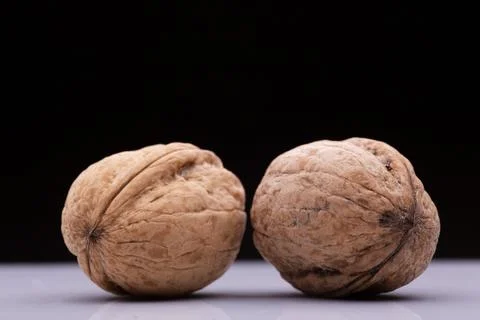 Two walnuts rest on a white surface Stock Photos