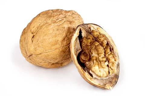 Two walnuts on a white background Stock Photos