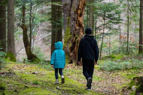 Two wanderers venture down a moss-covered path, surrounded by tall trees, enj 库存照片