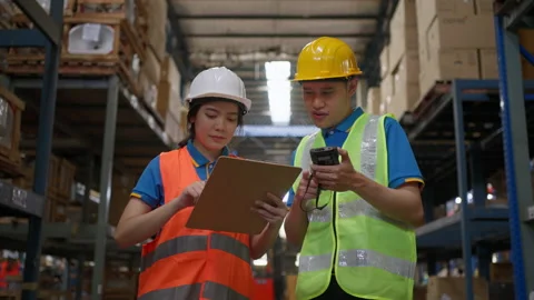 Two warehouse staff checking inventory Stock Footage 206356089