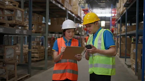 Two warehouse staff checking stock inventory Stock Footage 206356112