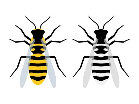 Two wasp vector. Stock Illustration