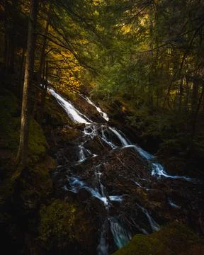 Two waterfalls flow in the fall foliage forest Stock Photos