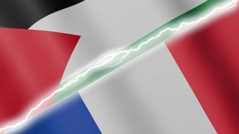 Two waving flags Palestine and France with diagonal lightning 4k loop Stock Footage 329223979