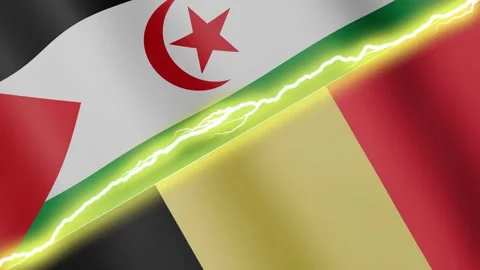 Two waving flags Western Sahara - Sahrawi Arab Democratic Republic and Belgium Stock Footage 344793930