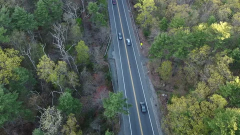 Two Way Road Through Woods Video stock 242900696