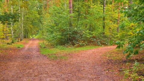 Two Ways Video stock 141446569