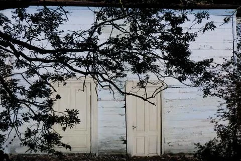 Two Weathered Doors Framed by Dark Branches Foto stock