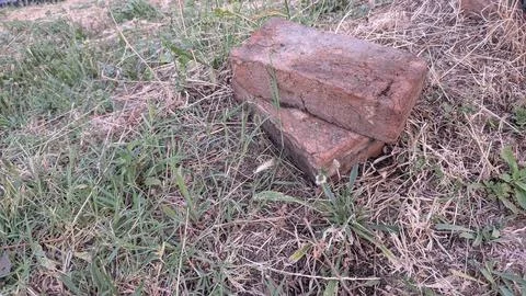 Two weathered red bricks lying in overgrown grass Stock Photos