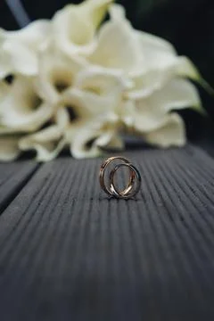 Two wedding bands rest on dark wood planks Foto stock