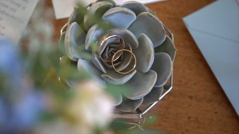 Two wedding rings in a beautiful flower Stock Footage 101731221