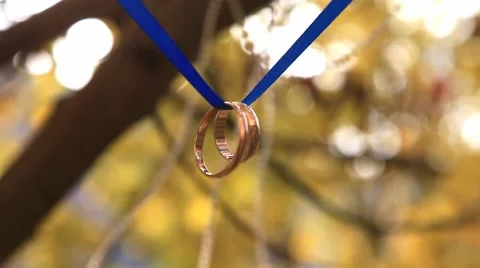 Two wedding rings on a blue ribbon on a tree Video stock 45988092