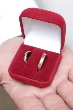 Two wedding rings in the box Stock Photos