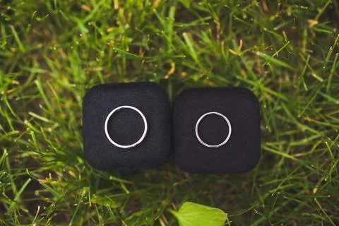 Two wedding rings in boxes on the grass Stock Photos