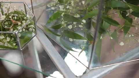 Two wedding rings in a glass box with flowers in an expensive restaurant, cafe Stock Footage 127492360