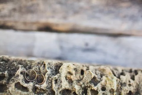 Two wedding rings on a grey stone Stock Photos