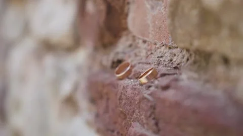 Two wedding rings lie in the old brick wall. Golden rings on a red brick wall. Stock Footage 211807057