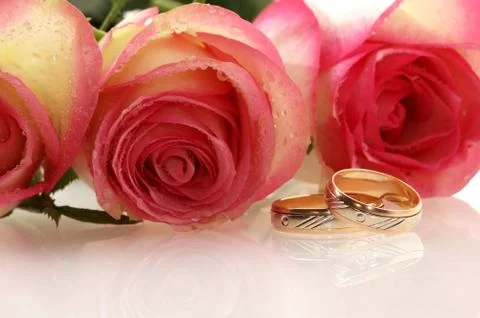 Two wedding rings Stock Photos
