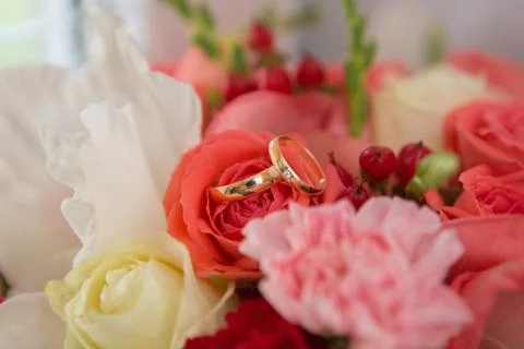 Two wedding rings Stock Photos