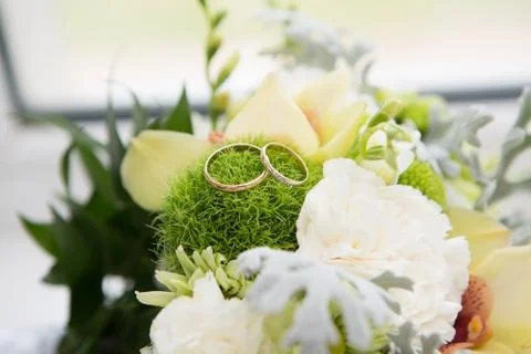 Two wedding rings Stock Photos