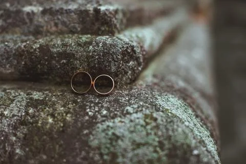 Two wedding rings on a stone Stock Photos