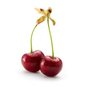 Two wet cherries on a white background Stock Photos