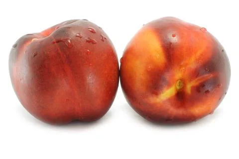 Two wet nectarines Stock Photos
