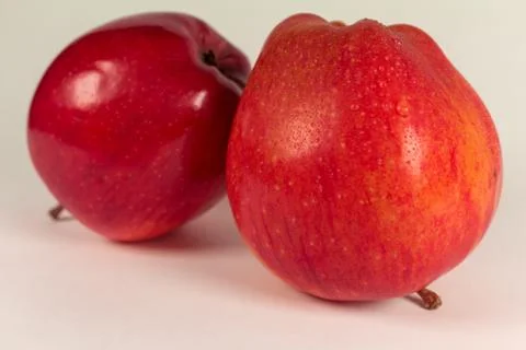 Two wet red apples isolated on white Stock Photos