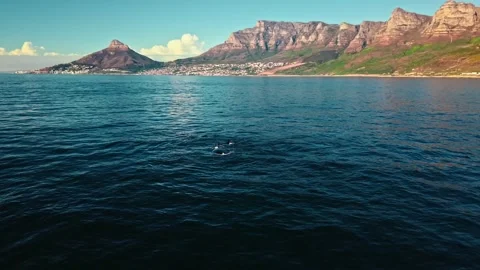 Two whales surfacing off Cape Town, cinematic aerial grade Stock Footage 341933484